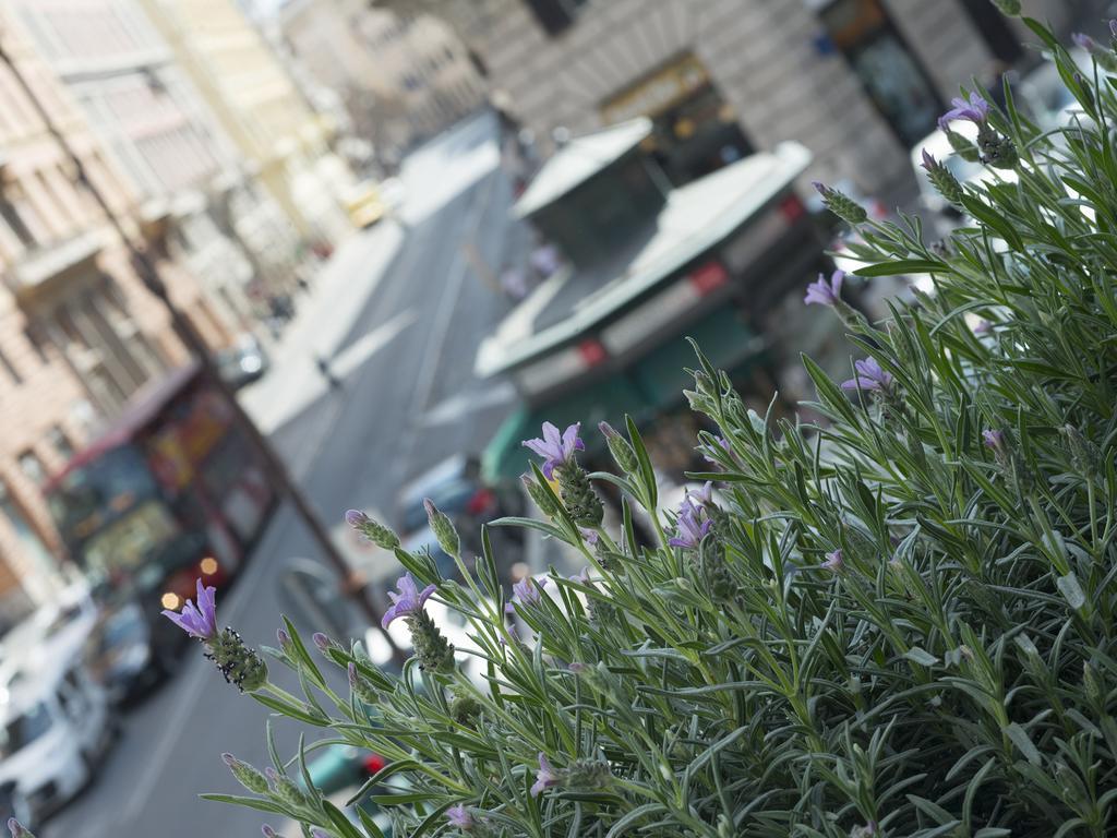 Corso Vittorio 308 Frühstückspension Rom